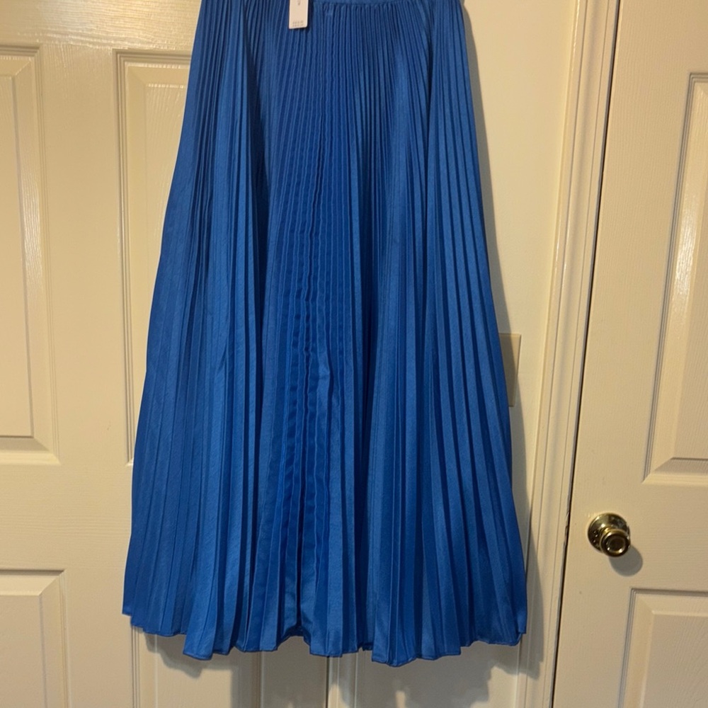 Elegant Blue Pleated Skirt by Anthropologie NWT